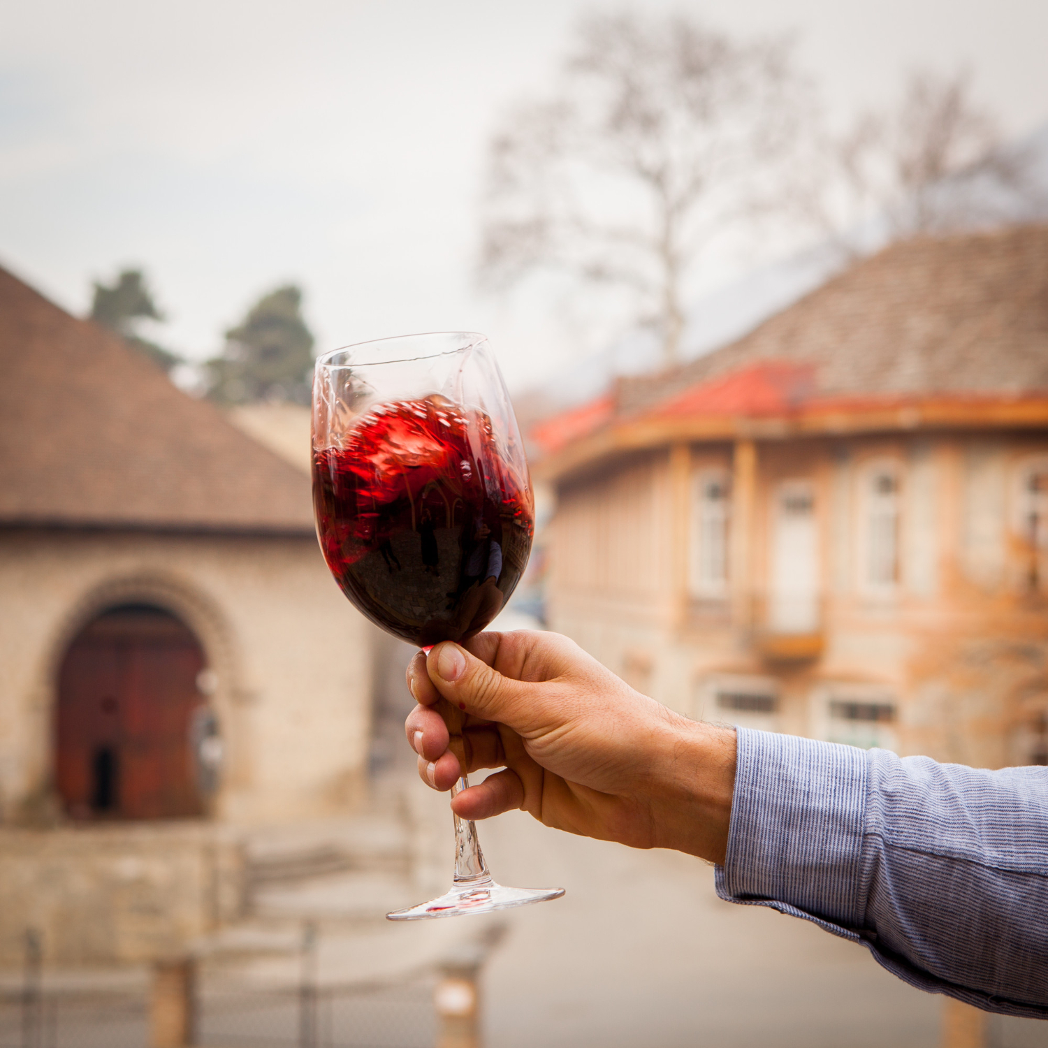 Découvrir la dégustation de vin